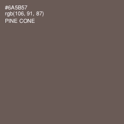#6A5B57 - Pine Cone Color Image
